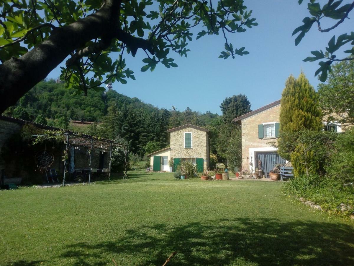 La Cana Dolce Bertinoro Extérieur photo